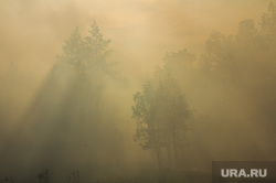 Верховые пожары в поселках Джабык и Запасное. Челябинская область, дым, лесной пожар