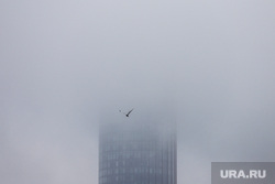 Смог. Екатеринбург, смог, дымка, туман, экология, экологическая обстановка, загрязнение воздуха