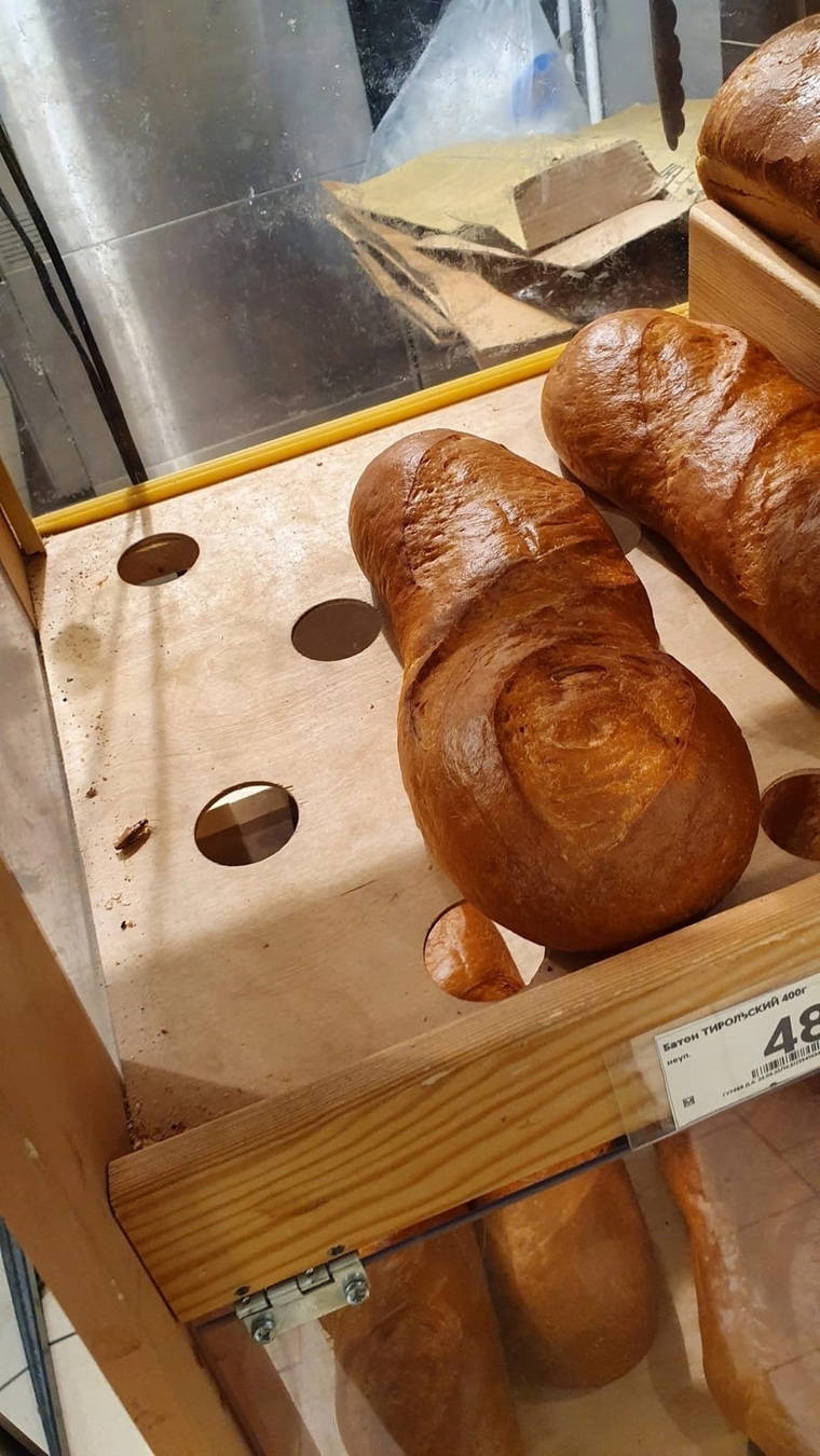 Таракан в хлебном отделе магазина