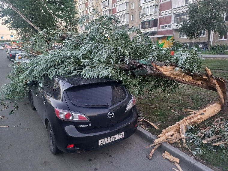 Дерево упало на автомобиль на улице 250-летия Челябинску