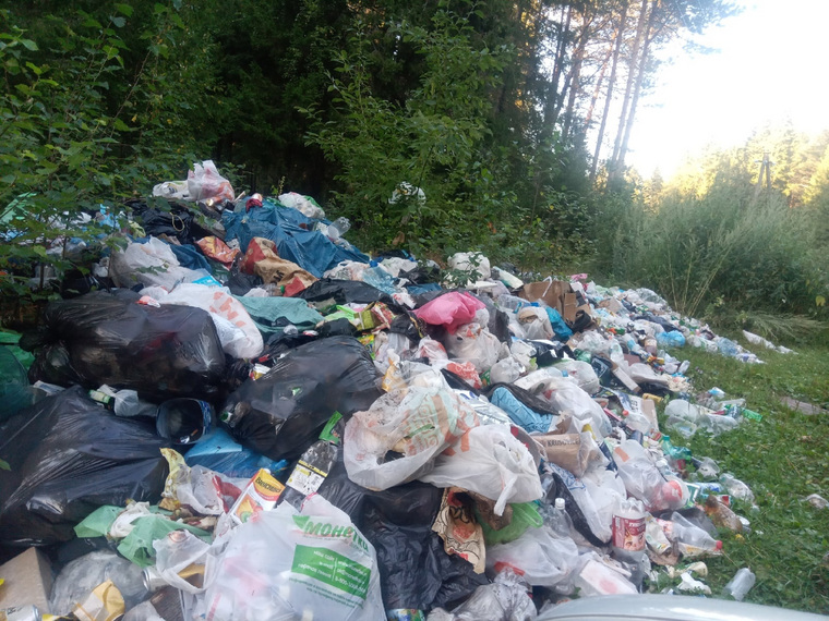 Горы мусора в лесу