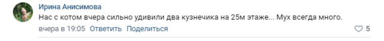 Ирина Анисимова рассказывает о своей находке
