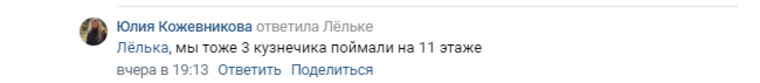 Юлия Кожевникова рассказывает о кузнечиках на 11 этаже