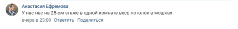 Анастасия Ефремова рассказывает, что происходит на 25 этаже жилого дома