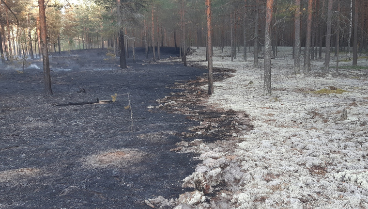 Сейчас пожар локализован