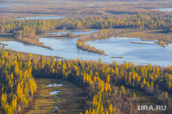 Природа Ямало-Ненецкого автономного округа, север, тундра, арктика, озеро, водоем, ямал, природа ямала, вид сверху, осень, с квадрокоптера