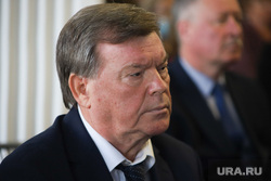 Конференция региональной  партии "Единая Россия". Курган, брюханов александр