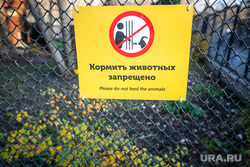 Московский зоопарк. Москва, вольер, зоопарк, клетка, животные, кормить животных запрещено