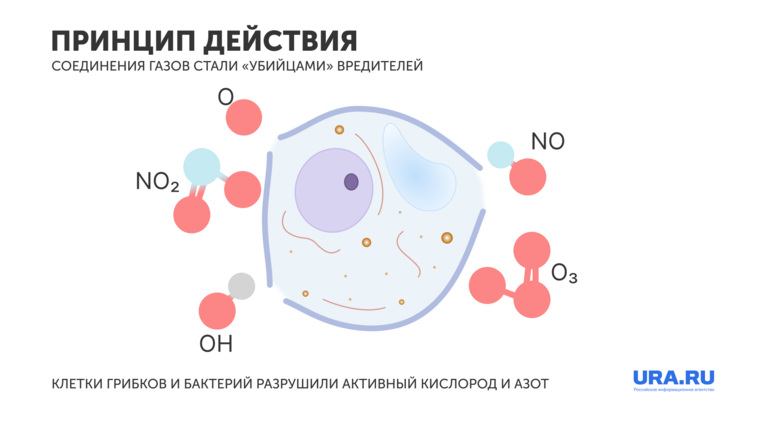 «Паразитов» уничтожили, разорвав липидный слой их клеток