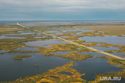 Клипарт. Сургут, хмао, югра, болота
