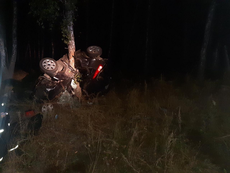 Автомобиль врезался в дерево