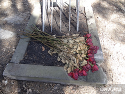 Могила дятловца Семена Золотарева Ивановское кладбище Екатеринбурга, букет роз, сухие цветы