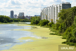 Ленинградский мост по улице Труда. Челябинск, новостройки, река миасс , лето в городе