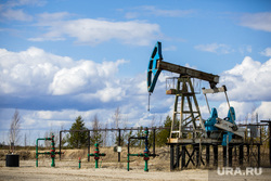 Качалки. Сургут, газ, газпром, топливо, роснефть, качалка, экономика, нефть, месторождение, нефтедобыча, добыча нефти, природные ресурсы, лукоил, сургутнефтегаз, куст нефтегазовый, цены на нефть