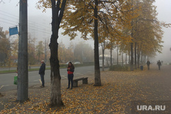 Туман в городе. Челябинск, городской пейзаж, проспект ленина, климат, осень, туман