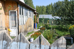 Алексей Орлов в СНТ Березка. Екатеринбург, огород, дача, загородный дом, сад