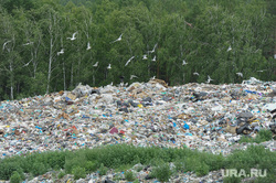 Репортаж по мусорным войнам из Миасса, свалка