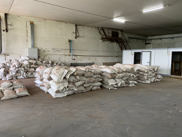 В Кургане на торги выставили 18 тонн вещдоков, конфискованных по делу о контрабанде биоресурсов