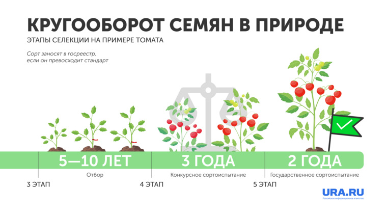 Госсорткомиссия испытывает выведенные сорта на участка, расположенных по всей России