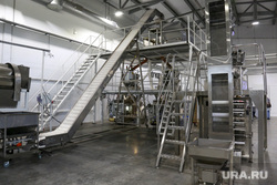 Завод по производству снеков «O’keich». Тюмень, конвейер, оборудование, пищевое производство, производственная линия