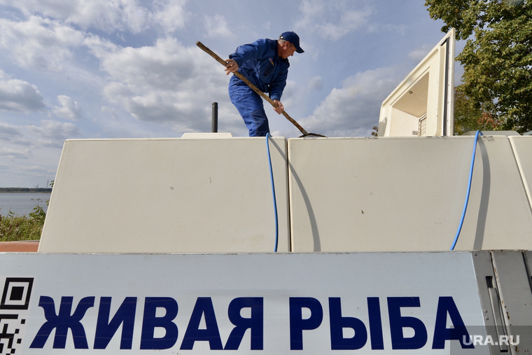 Зарыбление. Челябинск 