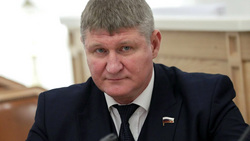 Депутат ГД назвал своевременной инициативу Кадырова по добровольцам