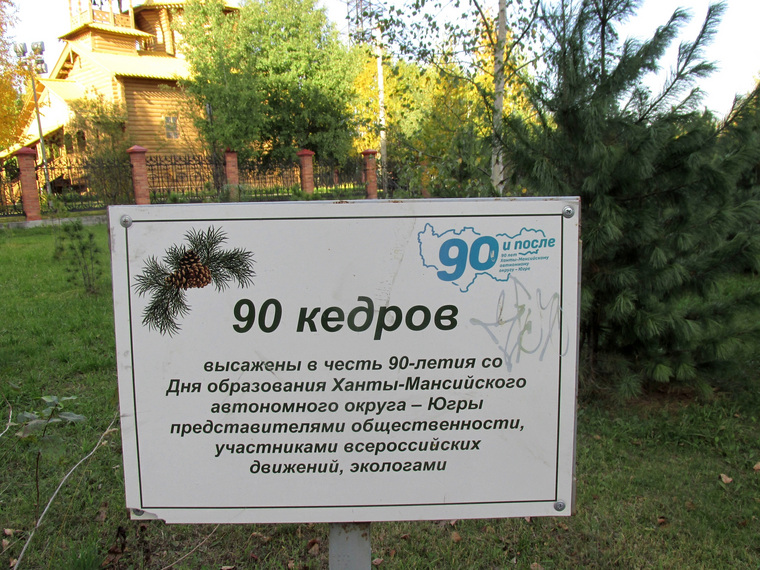 Деревья посажены в честь 90-летия округа