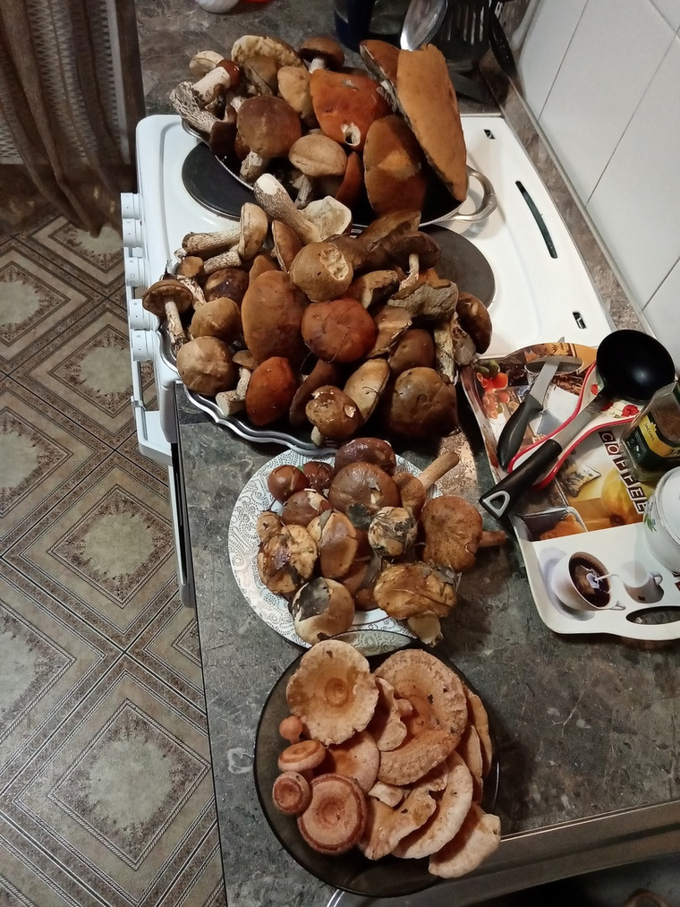 Велижанский тракт