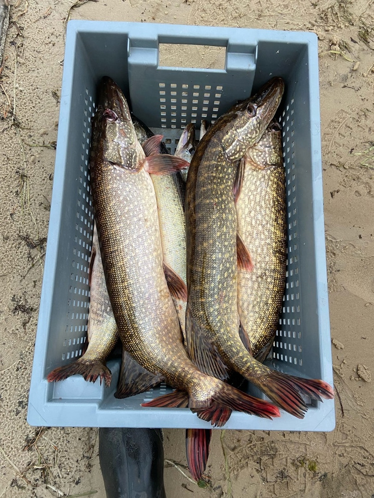 Рыбалка на реке Тромъеган