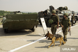 Международный военно-технический форум «Армия-2022» в Южном военном округе. Ростов , армия украины, сво, трофейная техника