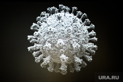 Выставка «Жизнь с вирусами». Челябинск, вирус, коронавирус, covid, ковид