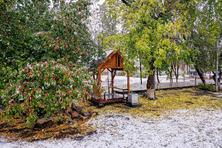 В Катайске на еще зеленые деревья выпал снег