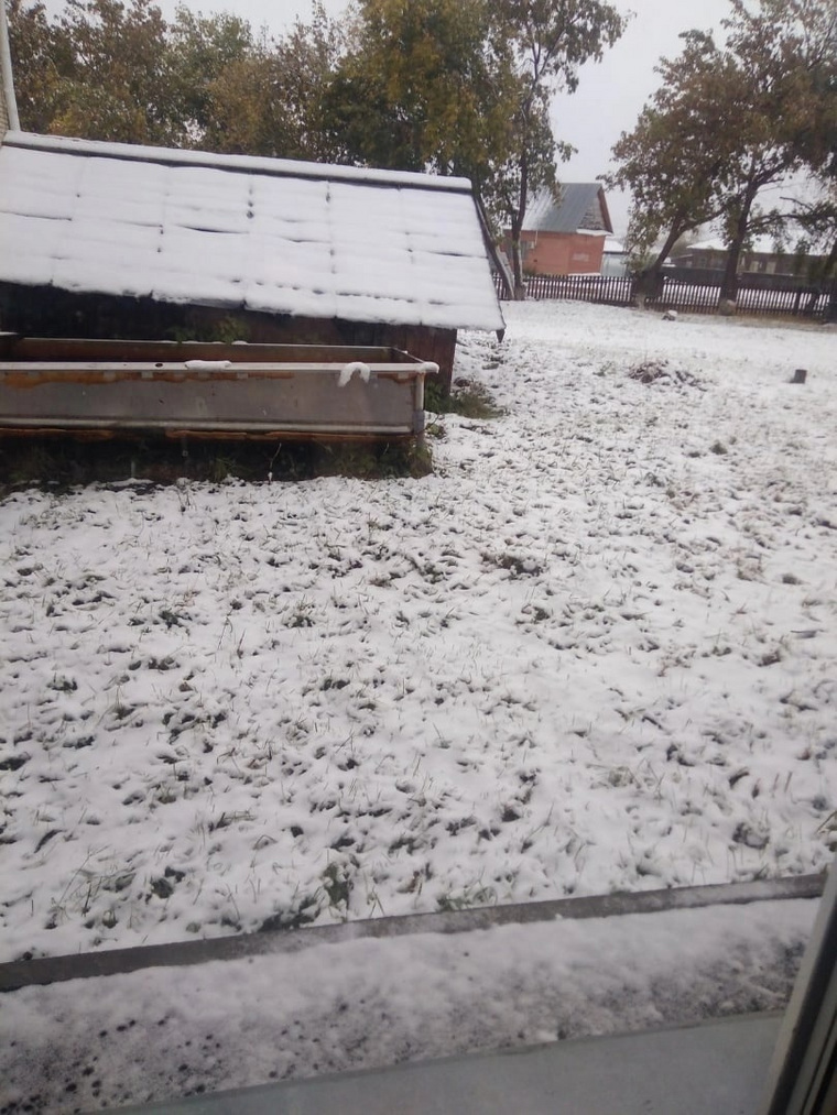 Слой снега выпал в селе Першино Белозерского округа