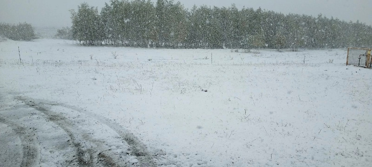 деревню Ягодная в Белозерском округе засыпало снегом