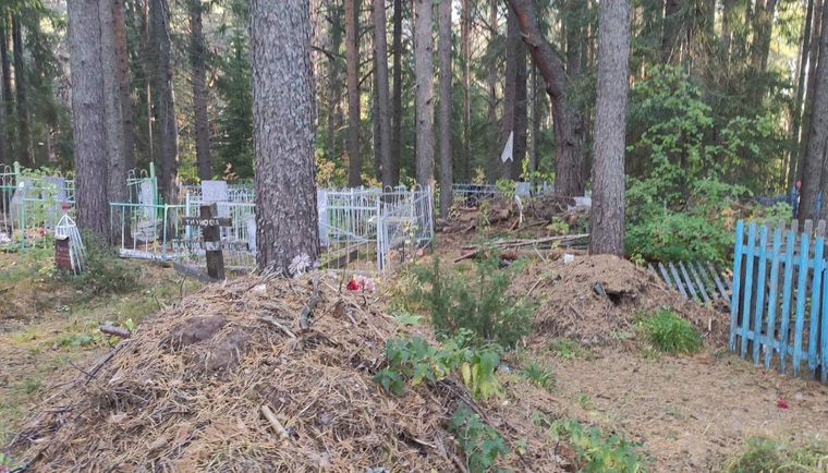 Елизавета Шалгинских написала, что жители Гайн годами выбрасывали мусор на местном кладбище