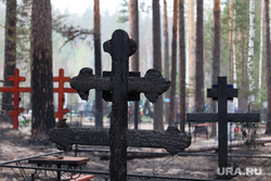 Кладбище в посёлке Чистопрудное. Курган, кладбище, последствие пожара, сгоревшее кладбище