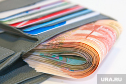 Clipart.  Perm, wallet, credit cards, banknotes, purse, money, rubles