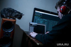 Хакер, IT (иллюстрации), кот, програмист, музыкальные колонки, компьютер, хакер, компьютерные сети