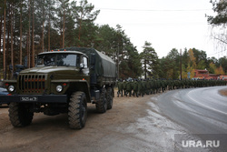 Тввику клипарт. Тюмень, военные, военные сборы, мобилизация