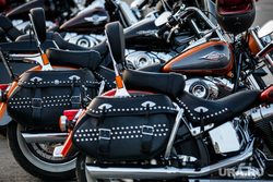 Открытие мотосезона клуба Harley Davidson. Екатеринбург, мотоцикл, байкеры, harley davidson