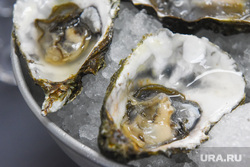 Устричная ферма. Екатеринбург, морепродукты, устрицы