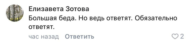 По мнению пользователей, инцидент не сойдет с рук его организаторам
