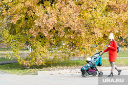 Осенний город. Тюмень, погода, листья, желтые листья, желтые деревья, женщина с коляской, мама с коляской, осень, осенние листья