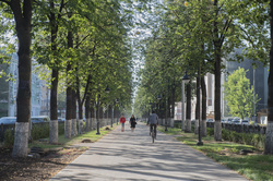 Виды города. Пермь, бульвар компроспект