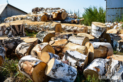 Алексей Текслер с рабочим визитом в Каслинском муниципальном районе. Челябинск, дрова, березовые дрова, чурбак