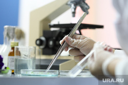 Китай поддержал расследование РФ о биолабораториях на Украине