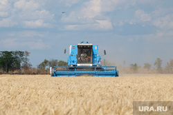 Уборка зерновых в Херсонской области. Херсон, комбайн, пшеница, зерно, сельское хозяйство, херсон