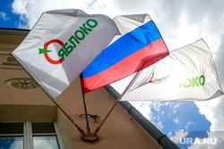 Заседание бюро "Яблока" по приостановки действия Свердловского отделения партии. Москва, партия яблоко, символика, центральное отделение, флаги