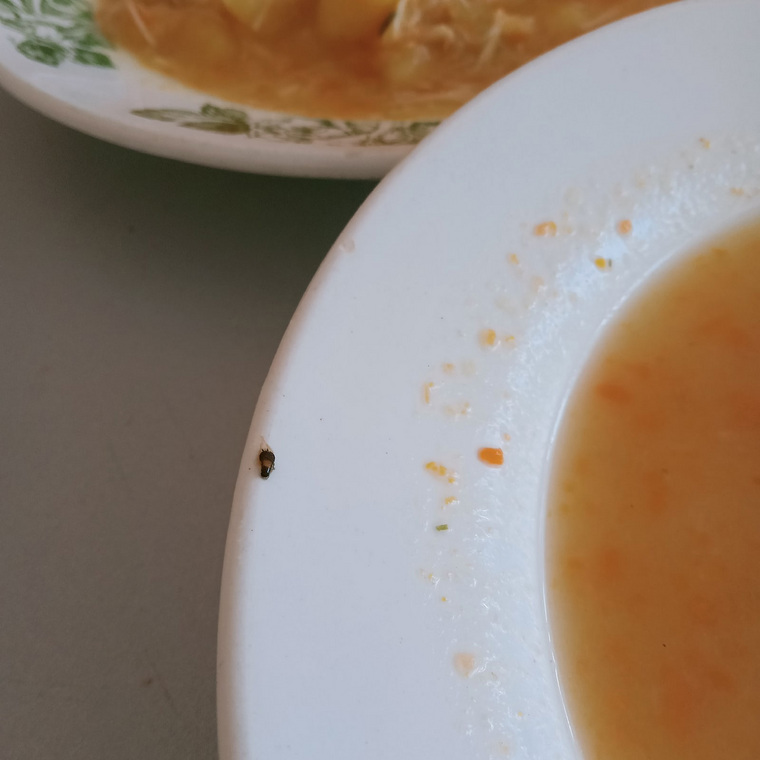 Таракан в супе попался попался пациентам ГКБ № 21