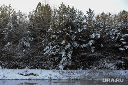 Природа в челябинском городском бору. Челябинск, зима, деревья, лес, бор, природа, река миасс 